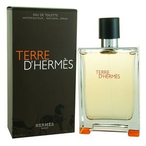 Terre D'Hermés Eau De Toilette Masculino 100ml