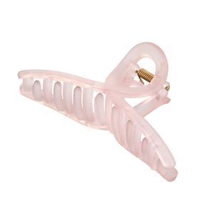 Piranha de Cabelo Laço Transparente Proart Grande