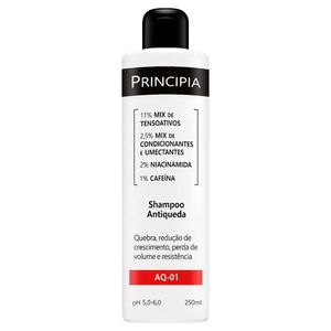 Shampoo Antiqueda Principia Skincare Aq-01 250ml