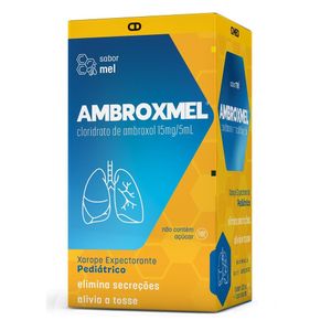 Ambroxmel 3mg/ml Xarope Pediátrico de Uso Oral Sabor Mel Frasco 120ml