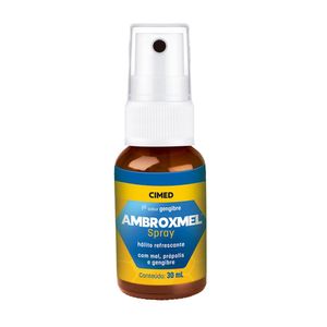 Ambroxmel Sabor Mel Própolis e Gengibre Spray 30ml