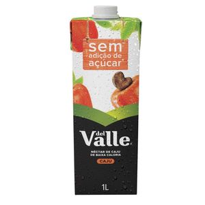 Del Valle Líquido Caixa Suco Mais Néctar de Caju 1L